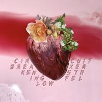 Ken Stringfellow - Circuit Breaker vinyl cover