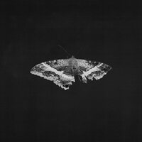 Kendrick Lamar - To Pimp A Butterfly (10 Year Anniversary Edition; Alternate Artwork) vinyl cover