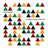 Kenji Herbert - A Million Forests of the Fall vinyl cover