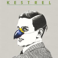 Kestrel - Kestrel vinyl cover
