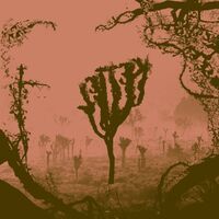 Kettel - My Dogan: 15Th Anniversary (Marble) vinyl cover