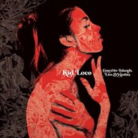 Kid Loco - Concrete Islands, Lies & Vanites vinyl cover