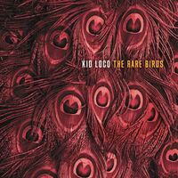 Kid Loco - The Rare Birds vinyl cover
