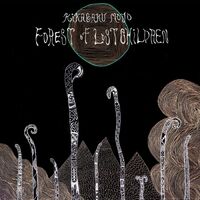Kikagaku Moyo - Forest Of Lost Children vinyl cover