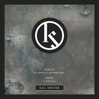 Kill Shelter - In Decay vinyl cover