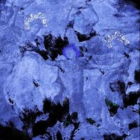 Kill Your Boyfriend - Killadelica vinyl cover