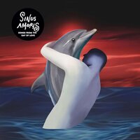 Kim Tenor & Freestyle Man - Sinus Amoris Songs From The Bay Of Love vinyl cover