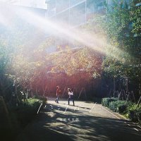 Kimyo Reitaro - Humming Bird vinyl cover