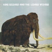 King Gizzard And The Lizard Wizard - Polygondwanaland Fuzz Club Version vinyl cover