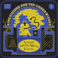 King Gizzard & The Lizard Wizard - Flying Microtonal Banana vinyl cover