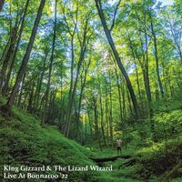 King Gizzard & The Lizard Wizard - Live At Bonnaroo '22 (Orange Buzzsaw Shaped)