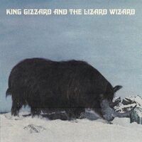 King Gizzard & The Lizard Wizard - Polygondwanaland Fuzz Club Version / Regular Sleeve vinyl cover
