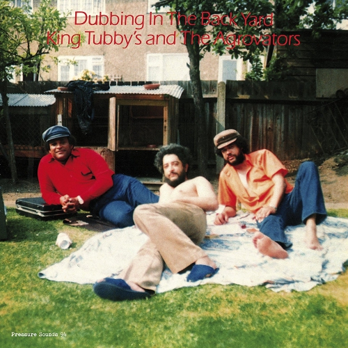 King Tubby's And The Agrovators - Dubbing In The Back Yard vinyl cover