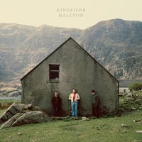 Kingfishr - Halcyon vinyl cover