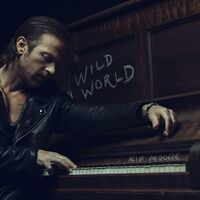 Kip Moore - Wild World vinyl cover