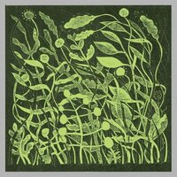 Kirk Barley - Lux vinyl cover