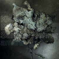 Klaus / Meyer,bjorn / Rohrer,samuel Gesing - Amiira vinyl cover