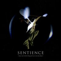 Klingwall Fredrik & Black Julia - Sentience Black vinyl cover