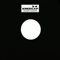 KNEECAP - Sayonara / The Recap vinyl cover