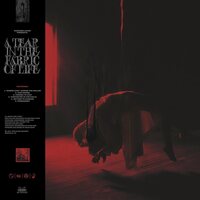 Knocked Loose - A Tear In The Fabric of Life vinyl cover