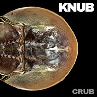 Knub - Crub vinyl cover