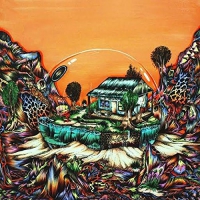 Koi Child - Koi Child vinyl cover