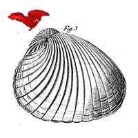 Koma Saxo with Sofia Jernberg - Koma West vinyl cover