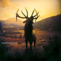Kosheen - Resist Limited Transparent Yellow vinyl cover