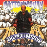 Kottonmouth - Killa Kottonfields vinyl cover