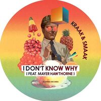 Kraak & Smaak - I Don't Know Why vinyl cover