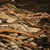 Krallice - Psychagogue vinyl cover