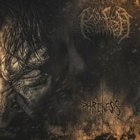 Krater - Phrenesis vinyl cover