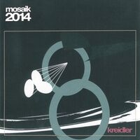 Kreidler - Mosaik 2014 vinyl cover