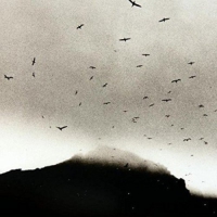 Kris Drever - If Wishes Were Horses vinyl cover