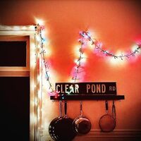 Kristin Hersh - Clear Pond Road vinyl cover