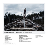 Kyle Morton - What Will Destroy You Creme vinyl cover