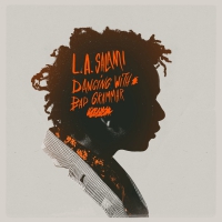 L.a. Salami - Dancing With Bad Grammar: The Directors Cut vinyl cover