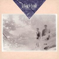 La Dama SE Esconde - La Tierra De Los Suenos vinyl cover