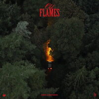 La Roux - Old Flames vinyl cover