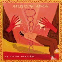 La Sonora Mazuren - Magnetismo Animal vinyl cover
