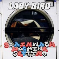 Lady Bird - Brainwash Machine Settings vinyl cover