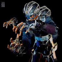 Lady / Crane Aicha - N'djila Wa Mudjimu vinyl cover