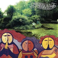 Ladybug Transistor - The Albemarle Sound vinyl cover