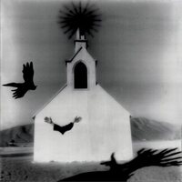 Laetitia Sadier & Storefront Church - Ink & Oil vinyl cover