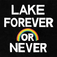 Lake - Forever Or Never vinyl cover