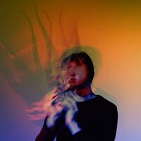 Lambert - False vinyl cover