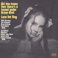 Lana Del Rey - Did You Know That There's A Tunnel Under Ocean Blvd vinyl cover