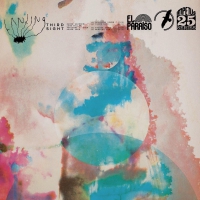 Landing - Third Sight vinyl cover