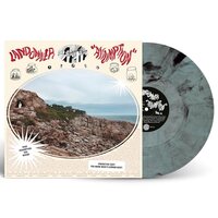 Landowner - Assumption vinyl cover