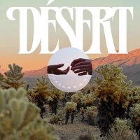 Lara Somogyi/Jean-Michel Blais - desert vinyl cover